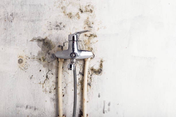Mold Testing and Removal in New Deal, TX